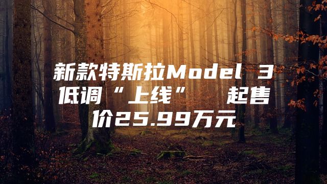 新款特斯拉Model 3低调“上线”  起售价25.99万元